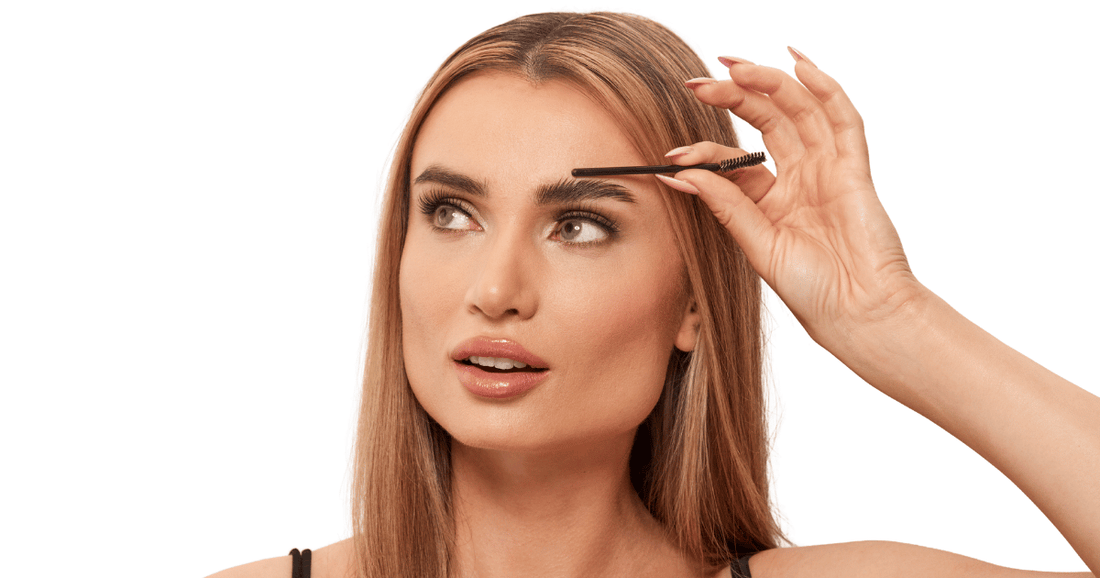 fixed brows